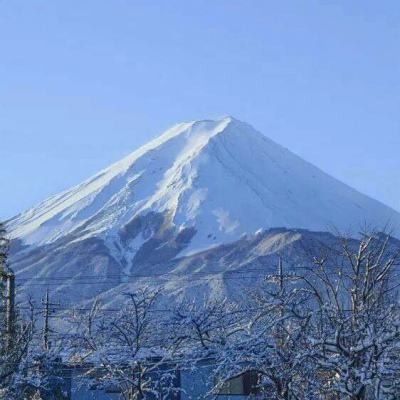 红足1一世九游娱乐手机网址(图1)