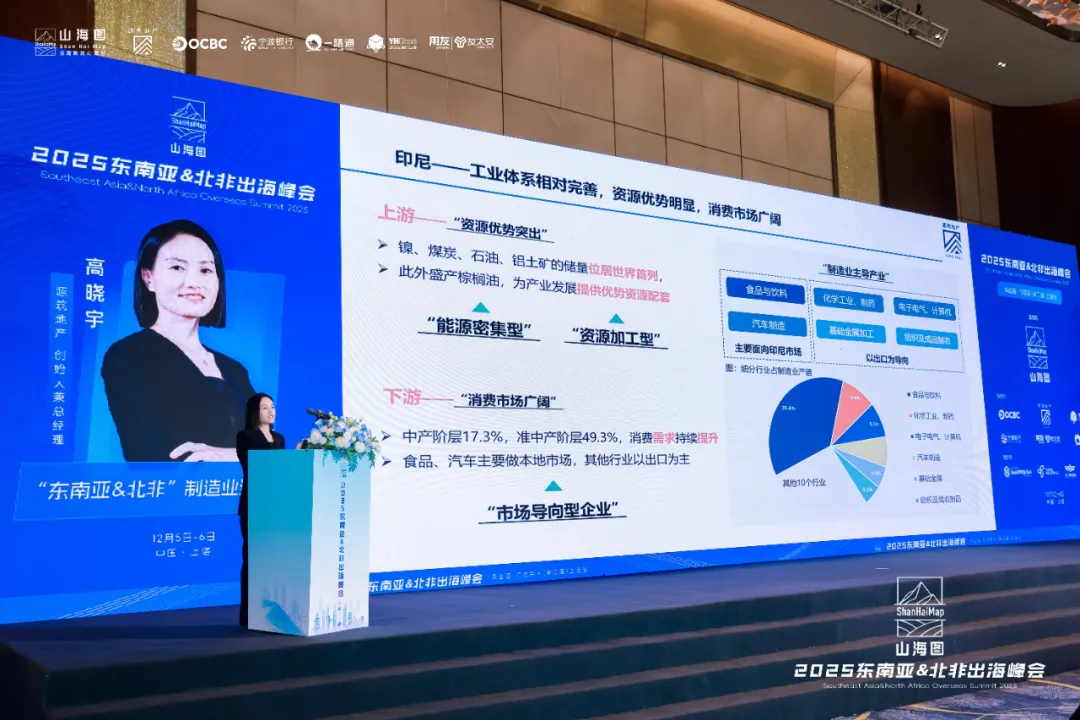 2025东南亚北非出海峰会成功九游娱乐举办 3000家企业同聚一堂共话出海新机遇(图7)