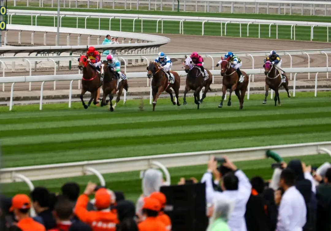 九游娱乐密集落子经济第一省能否扳回一局？(图4)