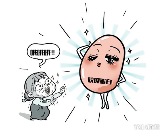 了解皮肤弹力的核心-【潘多拉美】胶原蛋白九游娱乐(图1)