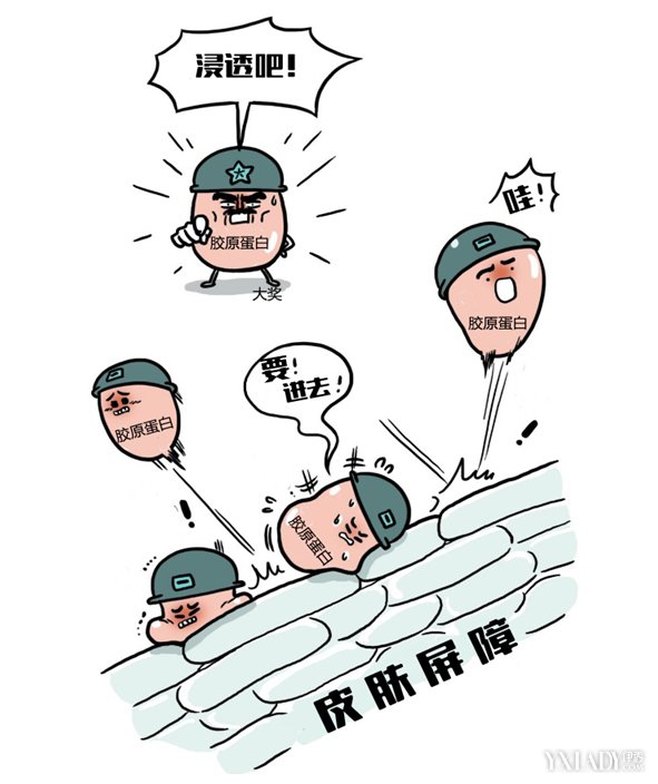 了解皮肤弹力的核心-【潘多拉美】胶原蛋白九游娱乐(图2)